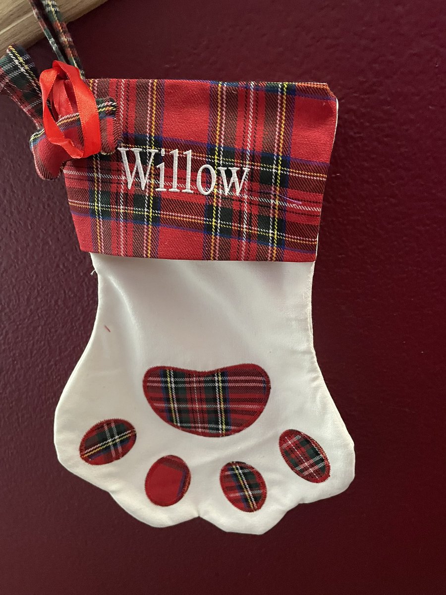 kml8990's tweet photo. Going all out for Willow’s first Christmas! Advent calendar from @PetSmart Stocking from @Chewy ………..empty box from multiple deliveries arriving lately 🤷🏼‍♀️😻❤️ https://t.co/nsoJtkFrcy