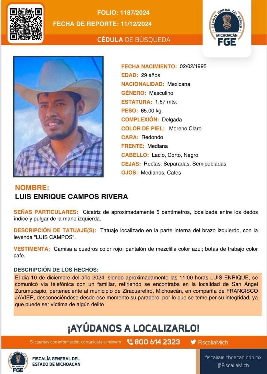 Representantes Michoacán. tweet media