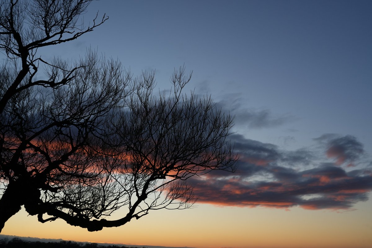 FototakerTony's tweet photo. #Sunset is always a special time for us. We get out everyday no matter the weather. Today it was very breezy and one-digit freezing temps, but our cameras didn't mind at all! #justLook #ItsJustCold https://t.co/0m1n6NJhLX