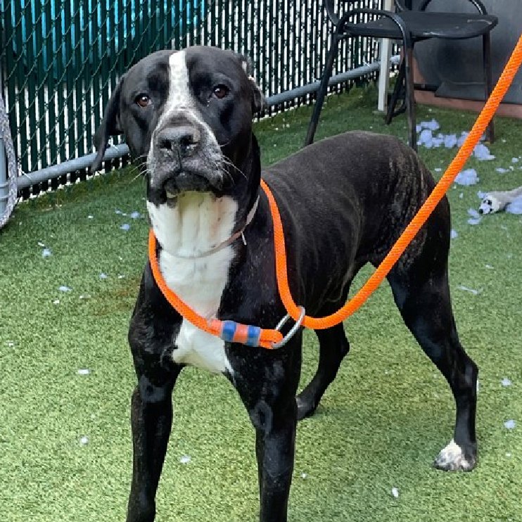 Not the Same tweet media