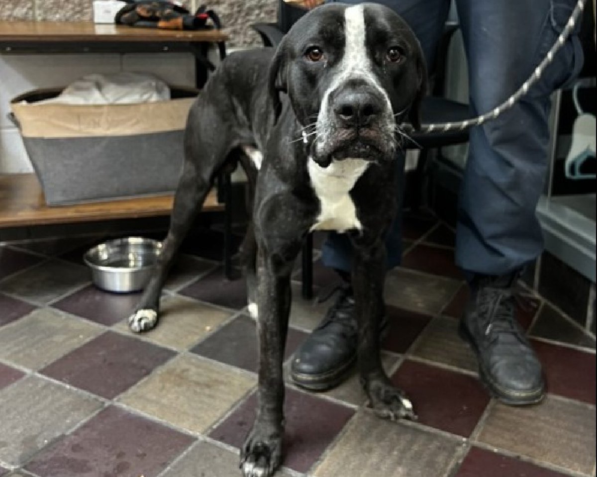 Not the Same tweet media