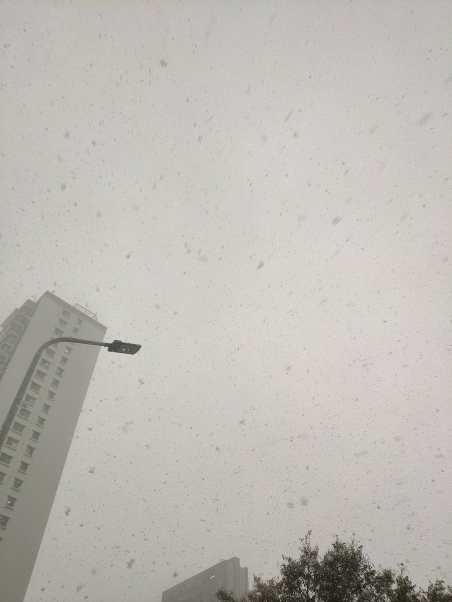 龙国喜降瑞雪