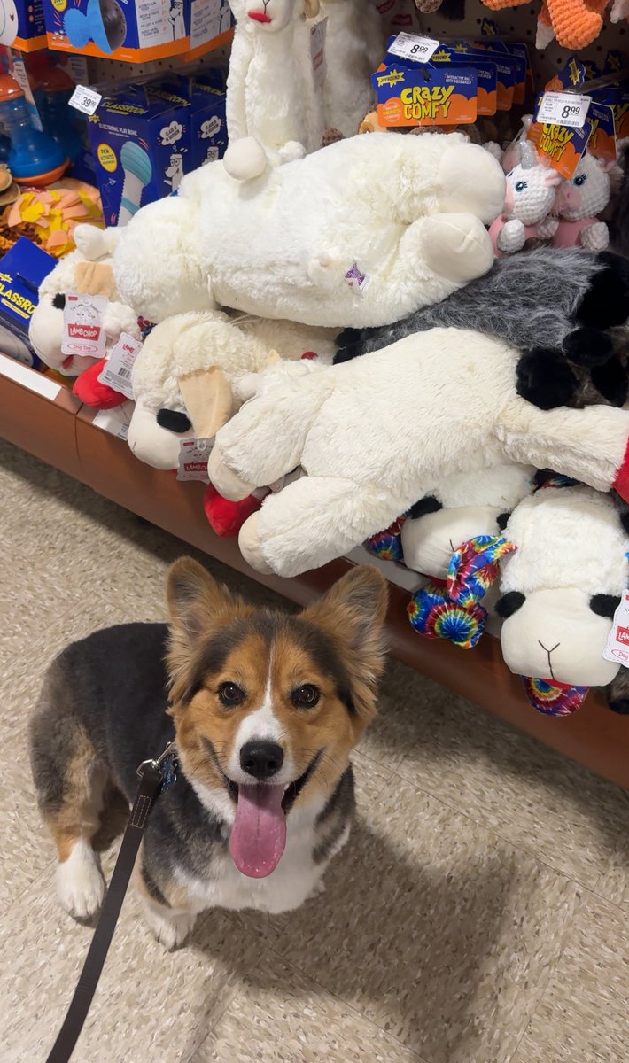 Crispy Concords tweet media