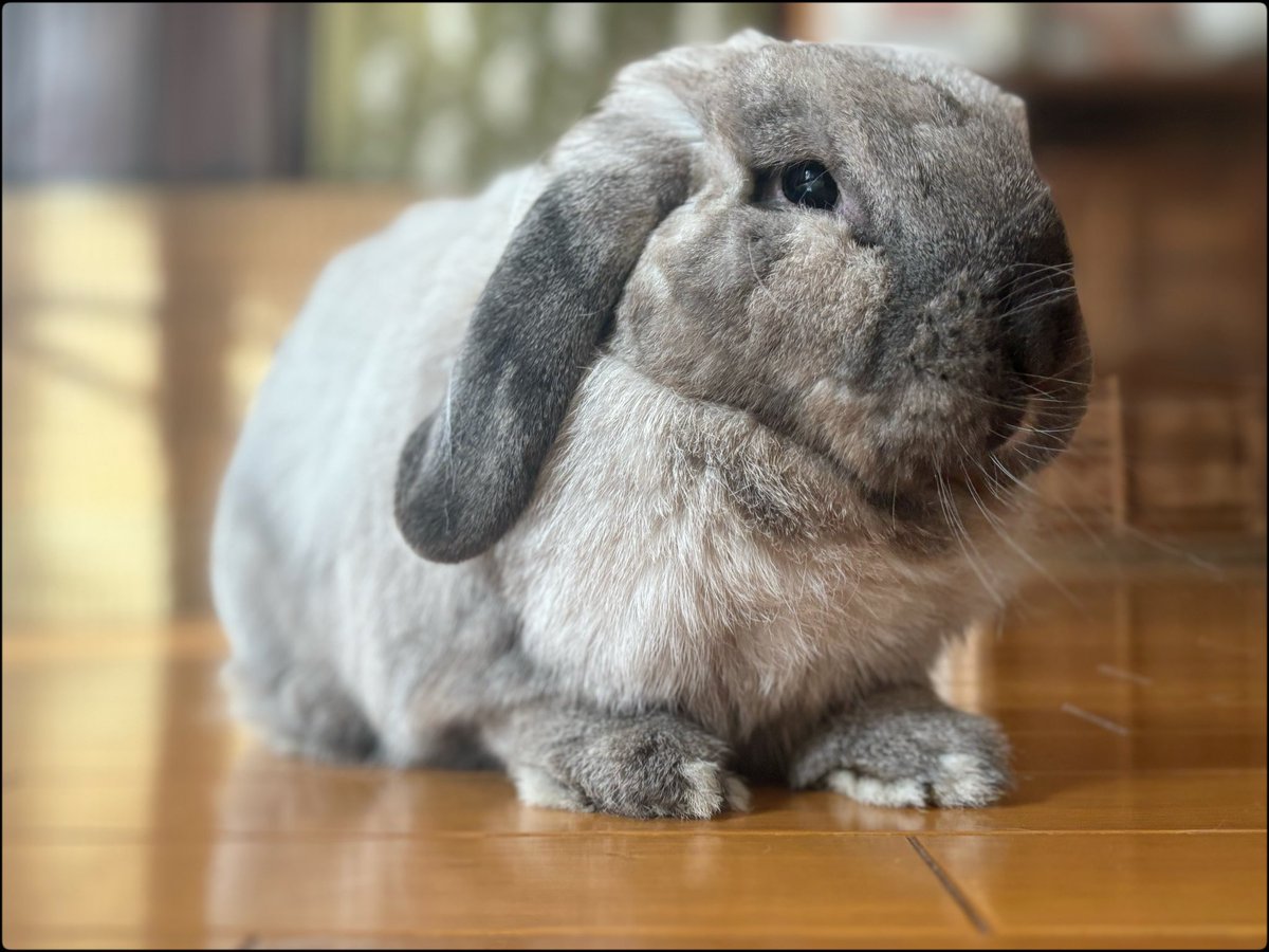 powderbum tweet media