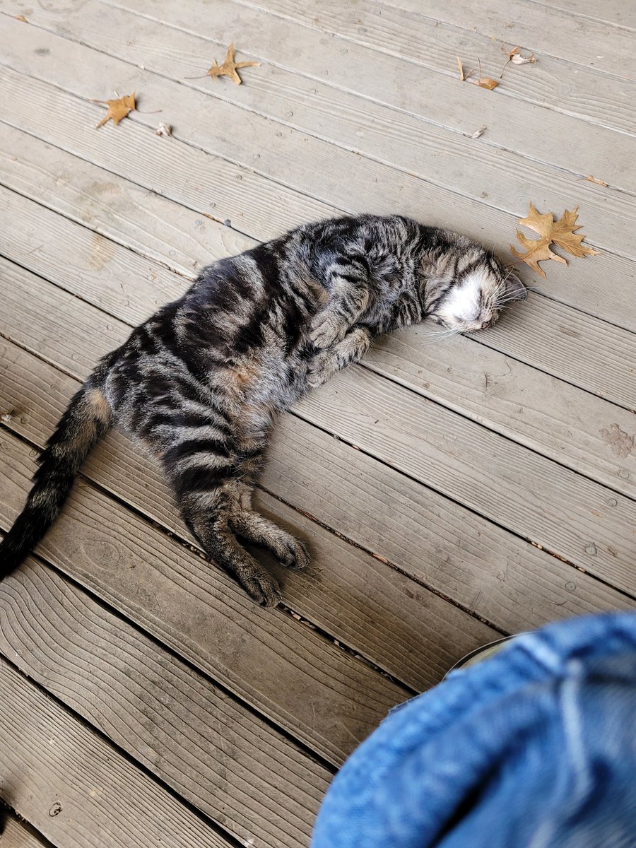 Adam Jameson tweet media