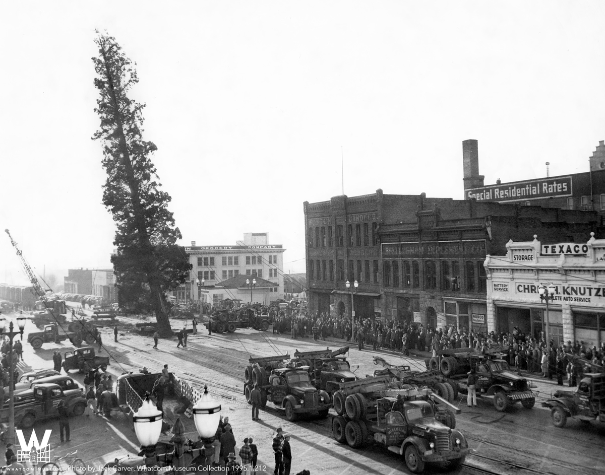 Whatcom Museum tweet media