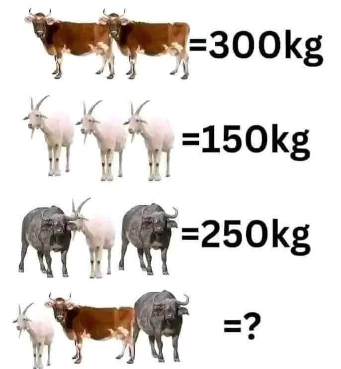 farida (@faridamahri1) on Twitter photo 