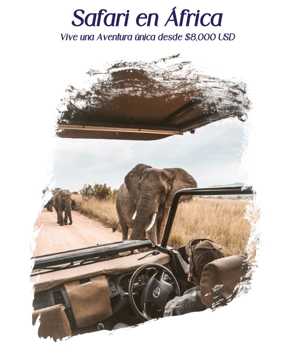 TRAVELQUESTMX's tweet photo. ¡No dejes pasar la oportunidad de vivir la aventura de tu vida! Para más información sobre nuestro exclusivo safari en África desde $8,000 USD, Llámanos al (55) 5251 2800 o envíanos un correo a reservacion2@travelquest.com.mx.
#SafariEnÁfrica
#AventuraAfricana
#ViajeDeLujo https://t.co/zsLawXwBi5