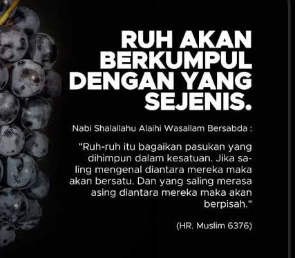 Jenie deGea tweet media