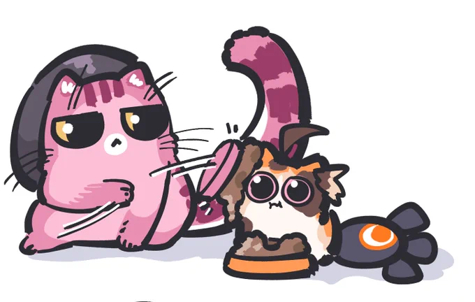 mysterious behavior of cat lol 