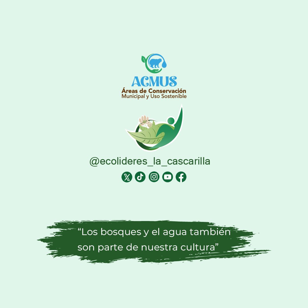 Fundación Ecolíderes “La Cascarilla” tweet media