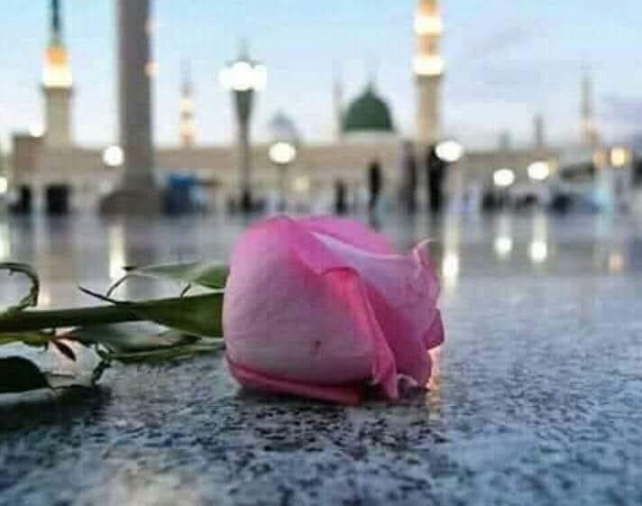 جبریل ھاتھ جوڑ کے کہنے لگے ' حضورﷺ
آگے مری مجال نہیں   ، آپ   جائیے۔

اسلام علیکم ۔۔
صبح بخیر ✨🌸❤️
JUMA MUBARAK 🌸