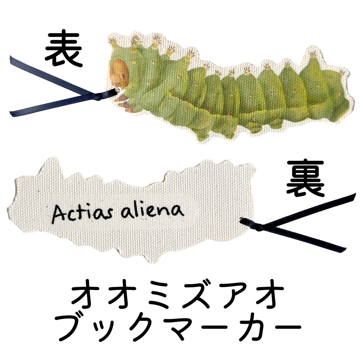 里山の生き物A4クリアファイル
オオミズアオ ブックマーカー
キョウチクトウスズメ ブックマーカー 