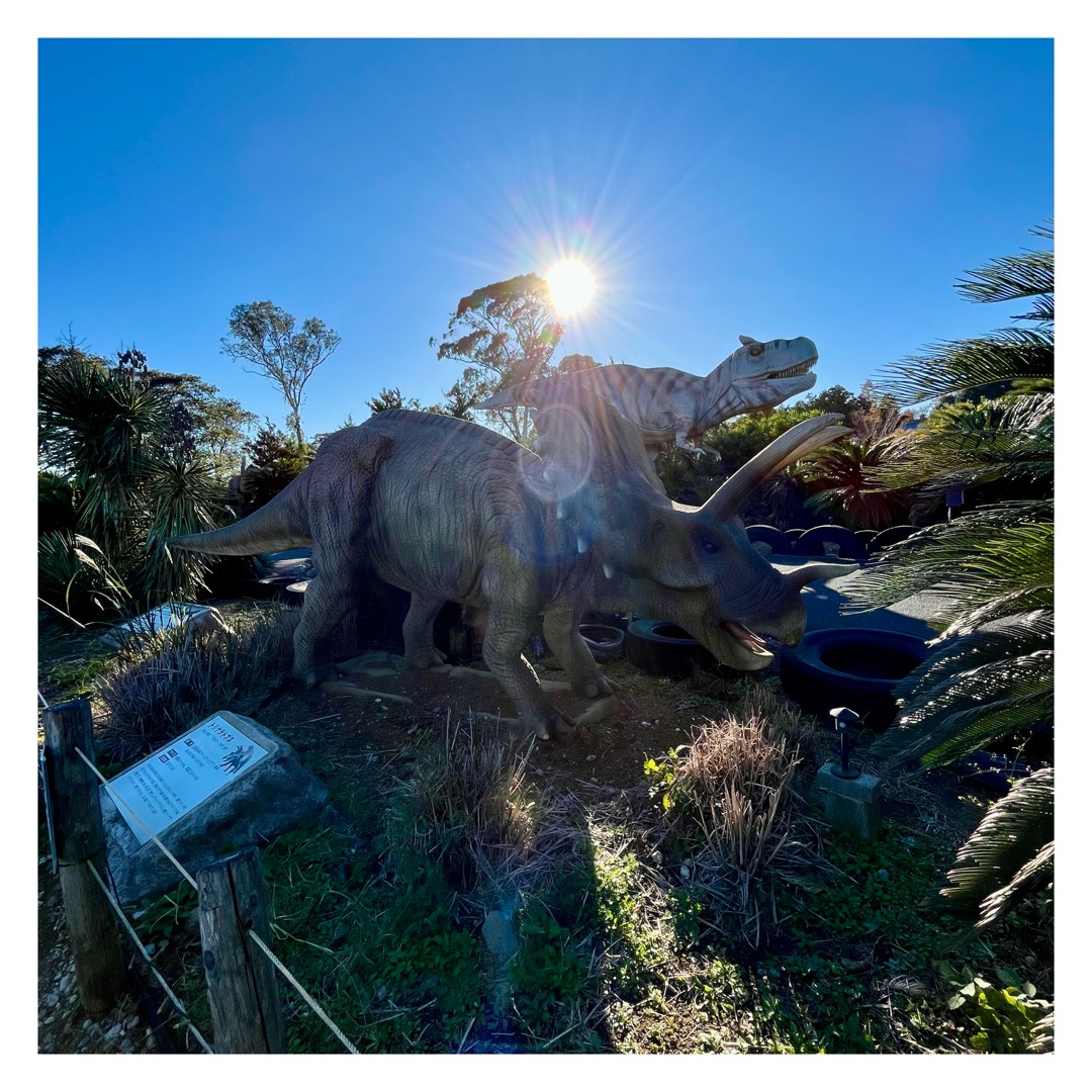 #社員の日常 おはようございます♪大室山の翌日は、シャボテン公園とぐらんぱる公園を訪れました🌿見どころ満載でした！週末は寒波が来るので、体調管理には気をつけていきましょう〜！  #IT  #コンサルティング #ITコンサル #コンサル #エンジニア #PM #PMO #シャボテン公園 #ぐらんぱる公園