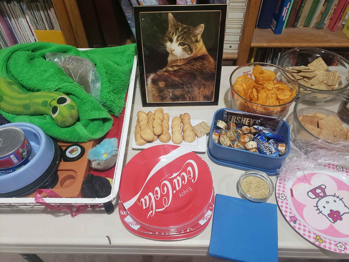 FriendlyPengu's tweet photo. Friends, we held a wake for Pengcat.

Have a good day. https://t.co/sJWpHmMpoU