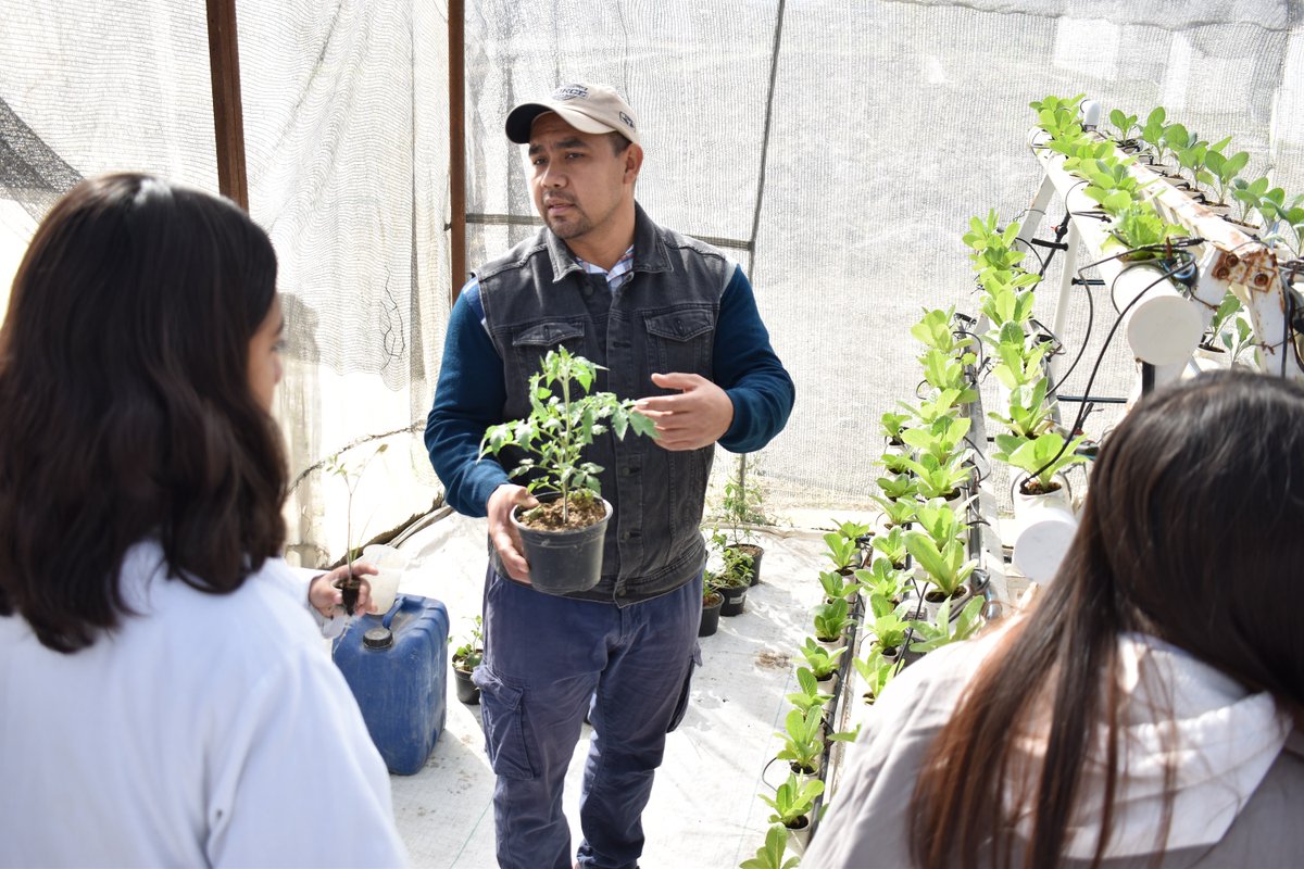 Estudiantes de la <a href="/UANEOficial/">UANE</a> visitaron el Laboratorio de Biociencias y el Campo Experimental Agrícola, conocieron técnicas de micro y nano biotecnología, además del impacto de los plásticos agrícolas en la agricultura. #CIQA