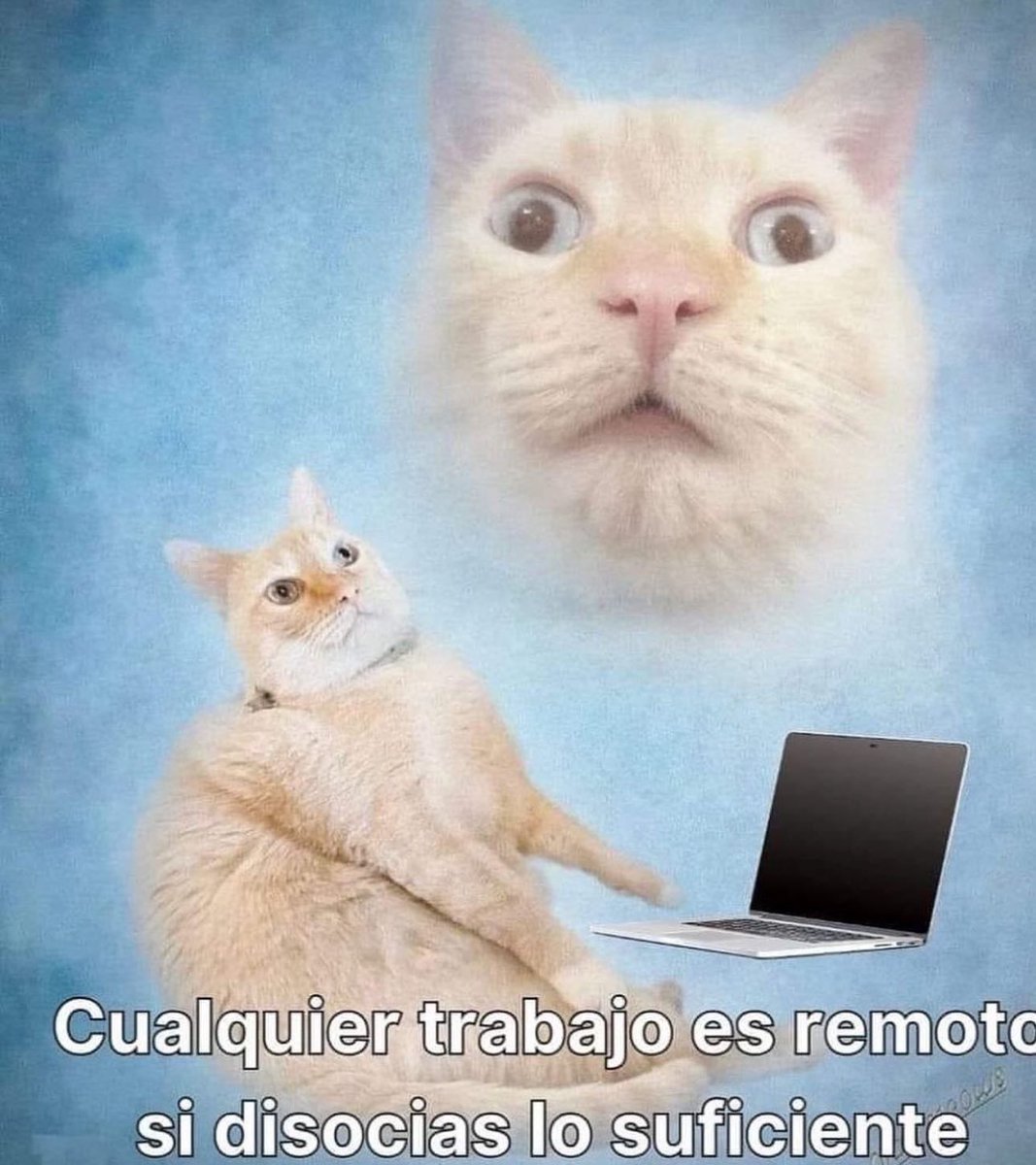 skereunpesado's tweet photo. https://t.co/qBC1lopiKv