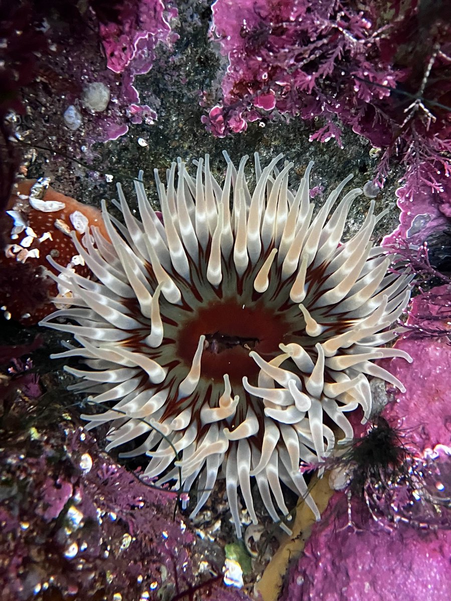 Jon Dunn 🇺🇦 tweet media