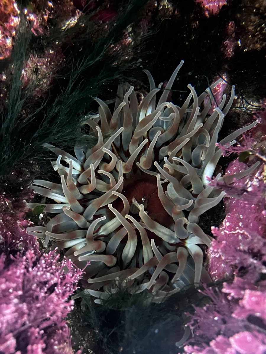 Jon Dunn 🇺🇦 tweet media