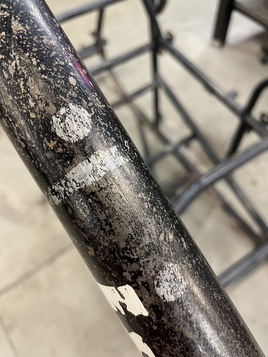 Flea Ruzic tweet media