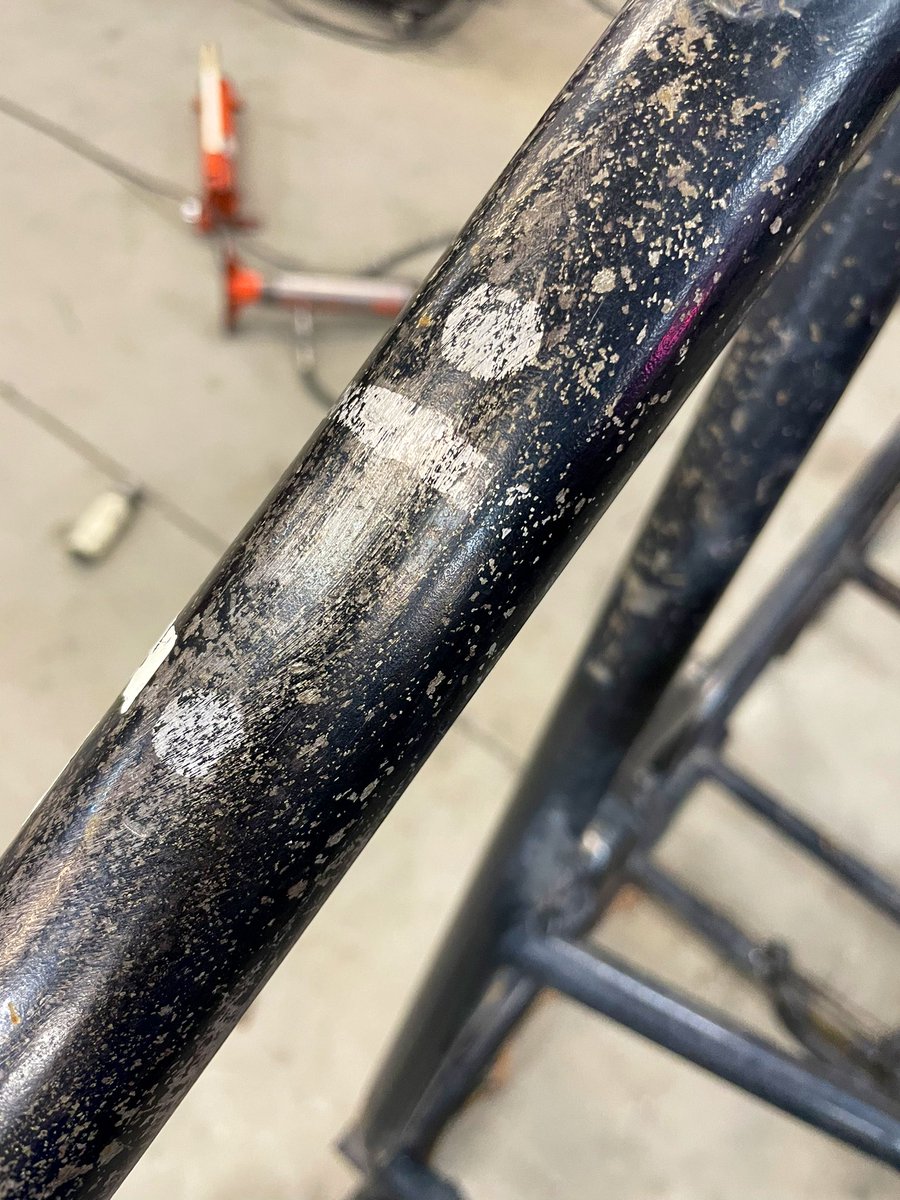 Flea Ruzic tweet media