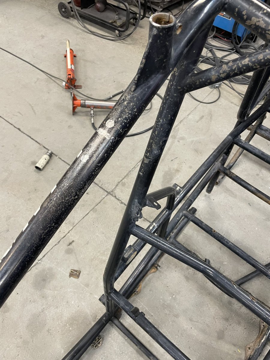 Flea Ruzic tweet media