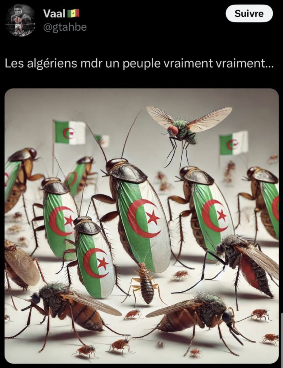 UnionAlgerienne's tweet image. Nous avons remonté les informations de cet individu (@gtahbe) à son université @UnivPoitiers.

Ses propos racistes reflètent le comportement d&apos;un déséquilibré, représentant un danger pour vos élèves. Nous comptons sur les responsables de son master (Janick Rusiewiez/Guillaume…