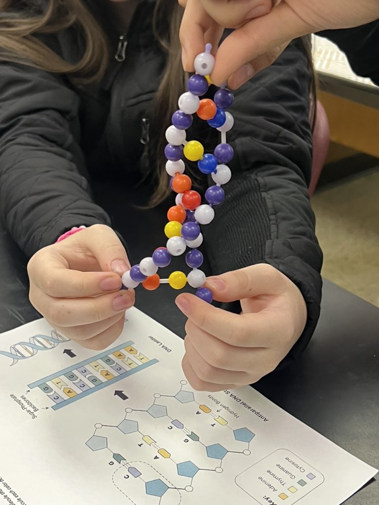 Amanda Nutt tweet media