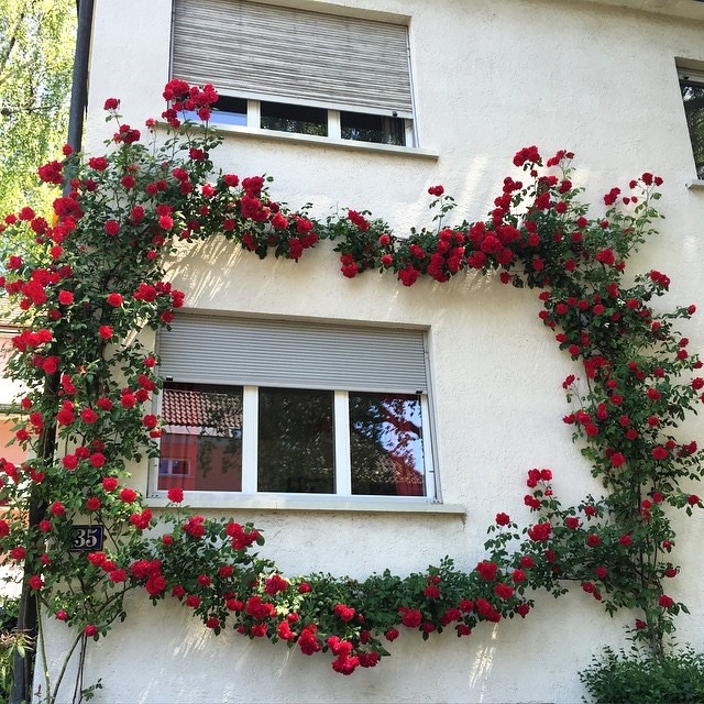 poetical photos. (@poeticalphotos) on Twitter photo 