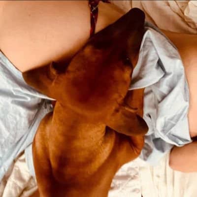 HKieraslud's tweet photo. Don't miss out my new zoo channel that coming up this weekend join now and watch out 
https://t.co/Wb7wJms0Of https://t.co/eMOwxONpQE