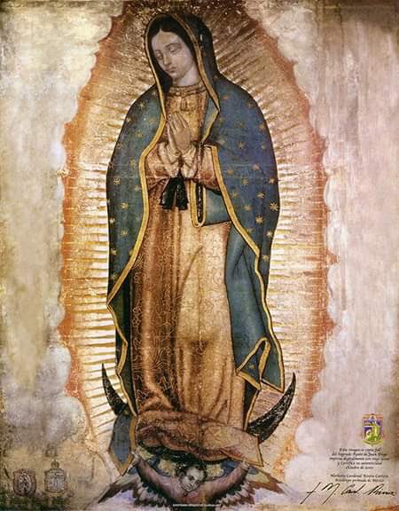 pmarcelopez's tweet photo. No tengas miedo ¿Acaso no estoy yo aquí que soy tu Madre? https://t.co/2dchCHGVec