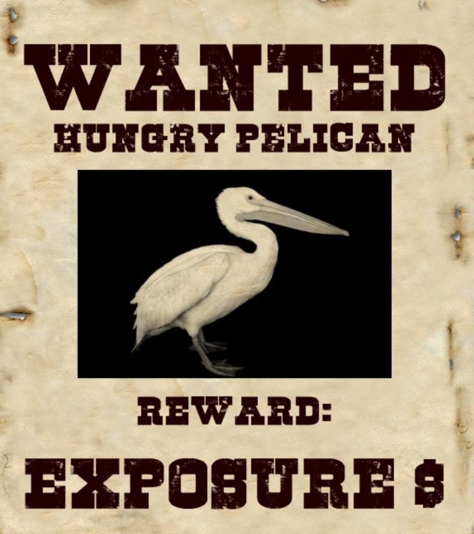 This sick fuck won't stop eating celebrities. Please keep an eye out for this pelican