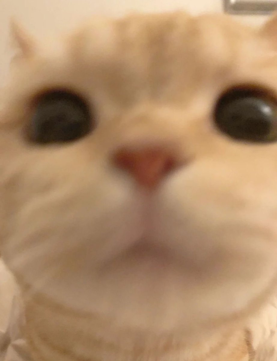 drewgirlevil's tweet photo. https://t.co/3aJo4xSjDV