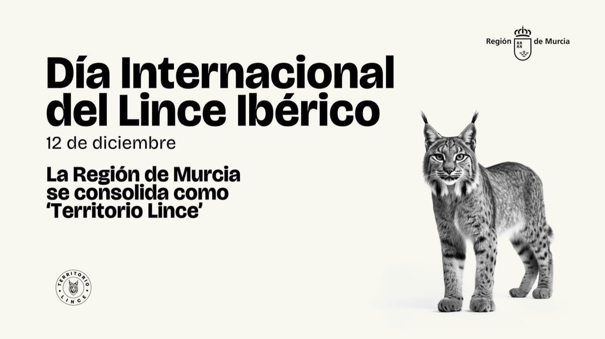 AM Región de Murcia (@aamm_murcia) on Twitter photo 🐈 Hoy se ha conmemorado el #DíaMundialDelLinceIbérico, en el que agradecemos la labor del Cuerpo de #AAMM_Murcia, reconocidos por su compromiso en la reintroducción y conservación de esta especie en la #RegióndeMurcia
Seguimos trabajando junto a <a href="/regiondemurcia/">Gobierno de la Región de Murcia</a> <a href="/LifeLynxconnect/">Life Lynxconnect</a> 🐈 Hoy se ha conmemorado el #DíaMundialDelLinceIbérico, en el que agradecemos la labor del Cuerpo de #AAMM_Murcia, reconocidos por su compromiso en la reintroducción y conservación de esta especie en la #RegióndeMurcia
Seguimos trabajando junto a <a href="/regiondemurcia/">Gobierno de la Región de Murcia</a> <a href="/LifeLynxconnect/">Life Lynxconnect</a>