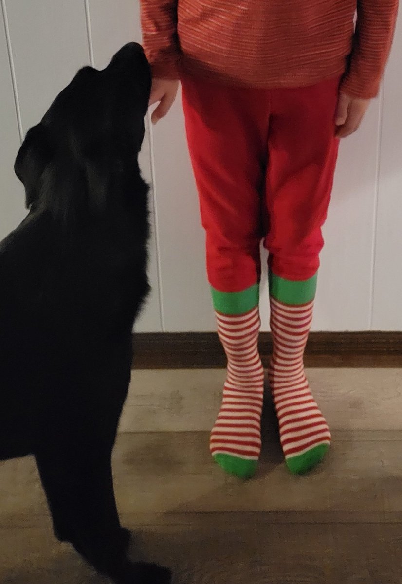 ARSonger's tweet photo. Dressed and apparently smelling like a Candy Cane today for Spirit Day Countdown @cheetahstweet https://t.co/NjxFXA8wbi