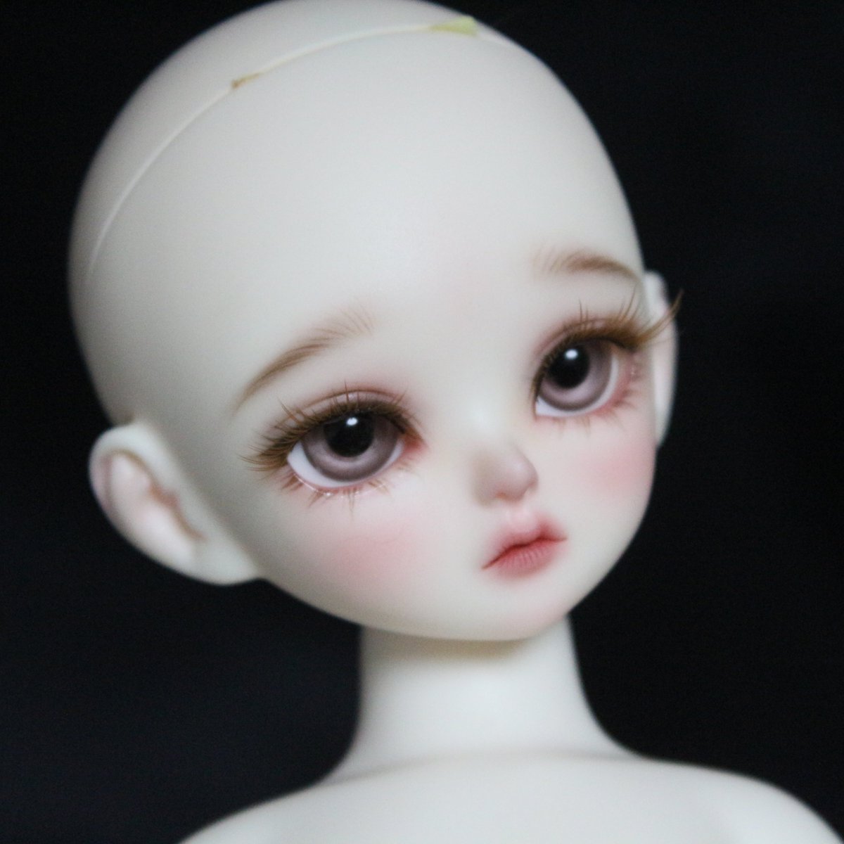 귀여운 아기고양이도 집에가자 😌