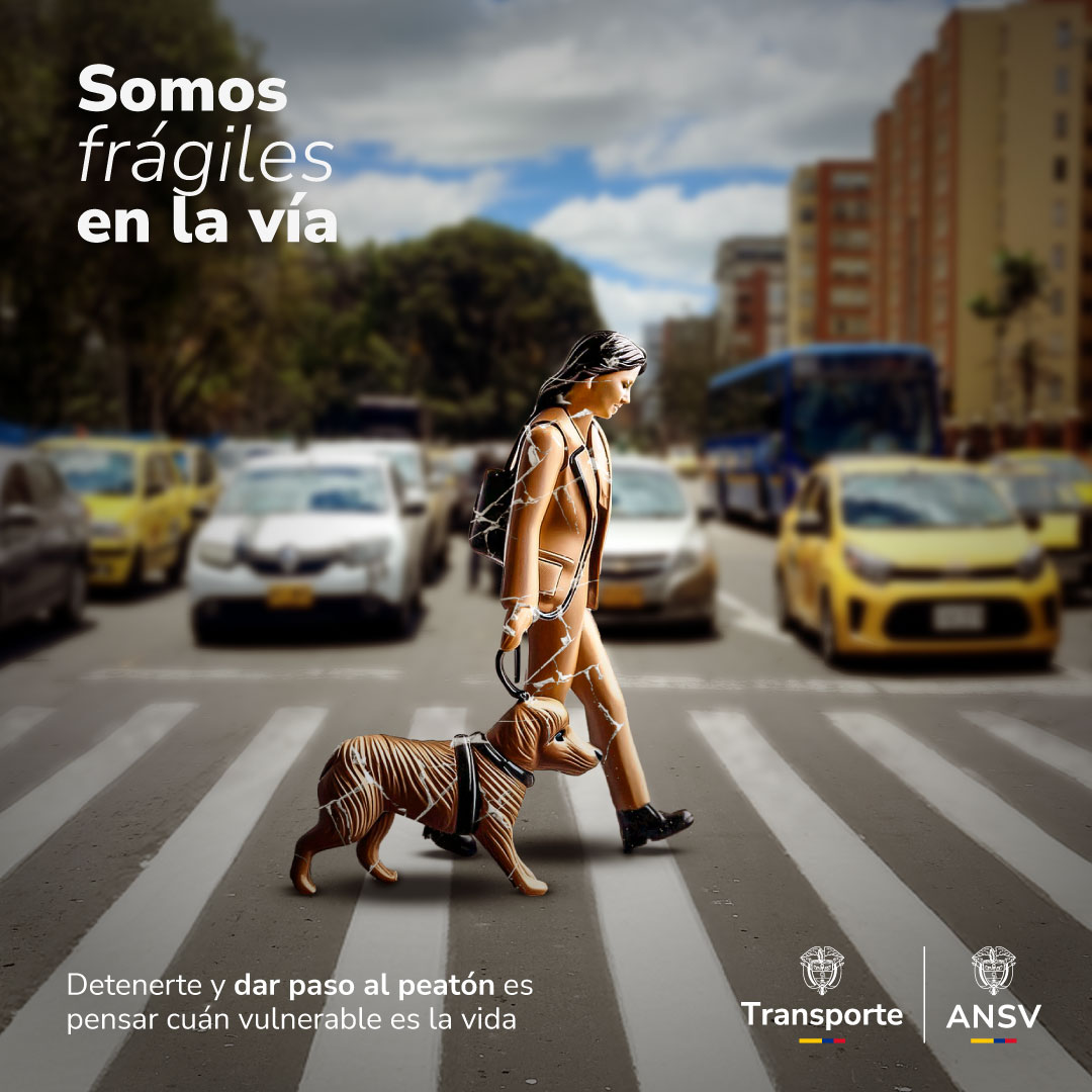 ansvcol's tweet photo. #SeguridadVial es reconocer que, en algún momento, vamos conduciendo un vehículo 🚗 🚲🏍️, otras veces vamos como pasajeros, pero siempre somos peatones y #SomosFrágiles en la vía. 🐕 https://t.co/LOQtnaQCVt