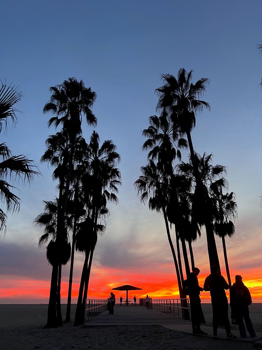 Stareable tweet media