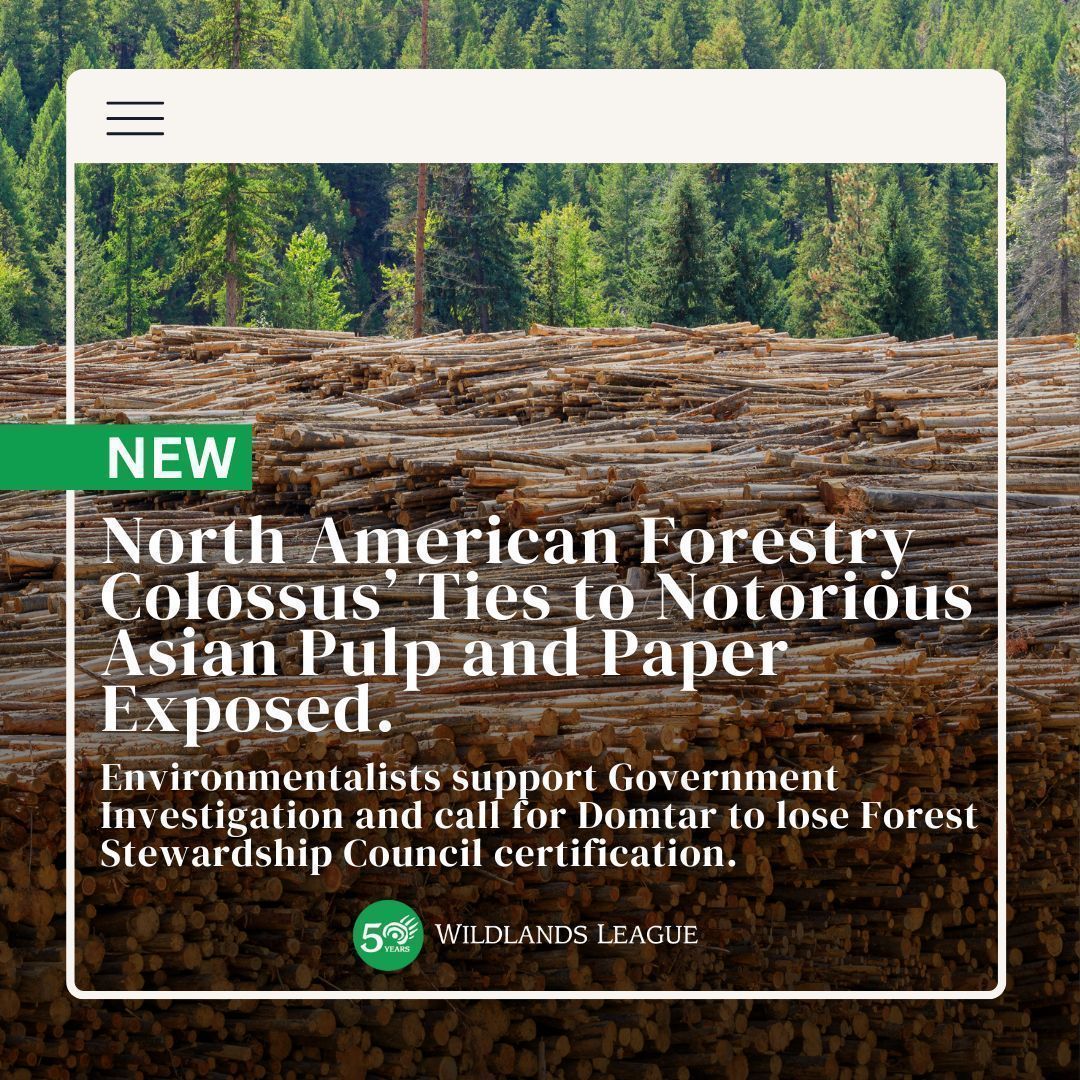 North American Forestry Colossus’ Ties to Notorious Asian Pulp and Paper Exposed.  Environmentalists support Government Investigation and call for Domtar to lose Forest Stewardship Council certification. 

Read the full statement here 👇 
buff.ly/4gwlkYv