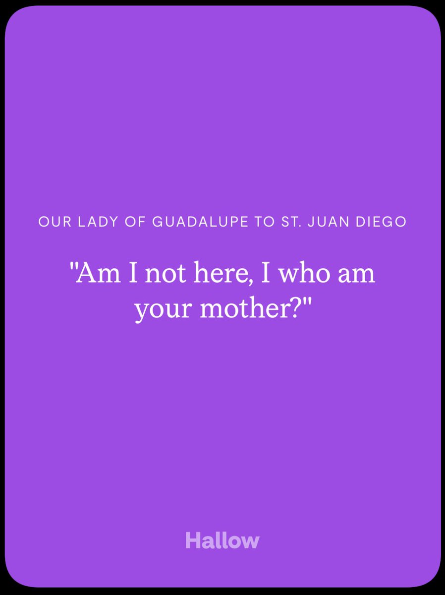 sepiabird's tweet photo. Our Lady of Guadalupe, intercede for us 🙏🏾 https://t.co/1AR4PC6Uga
