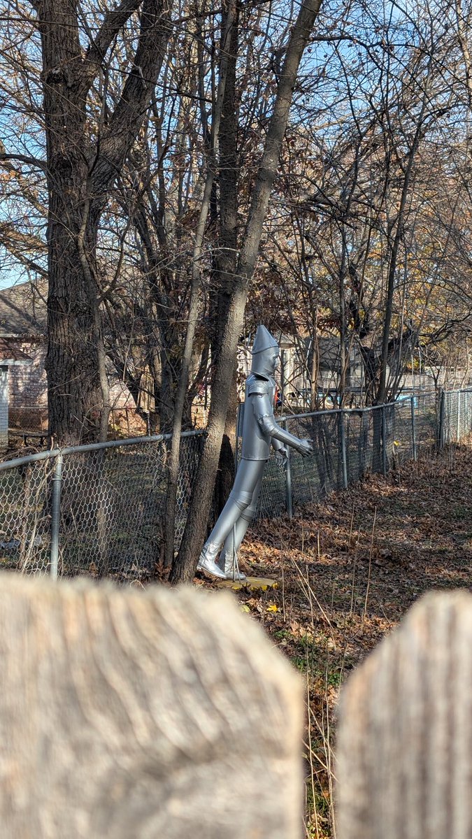 I'm hoping that my backyard neighbors are really into #WickedMovie and not just weirdos.