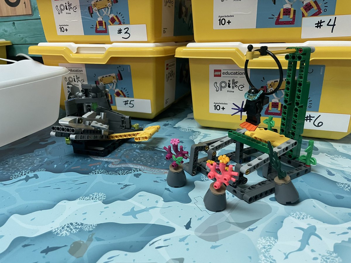 Tracy Kruszeski tweet media