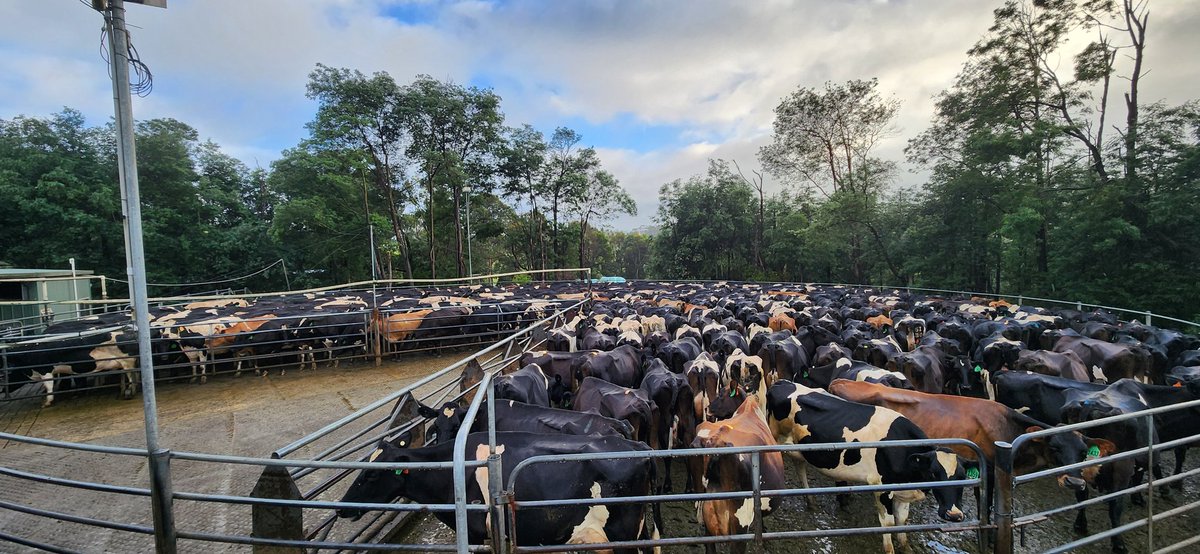 Brian Corr tweet media