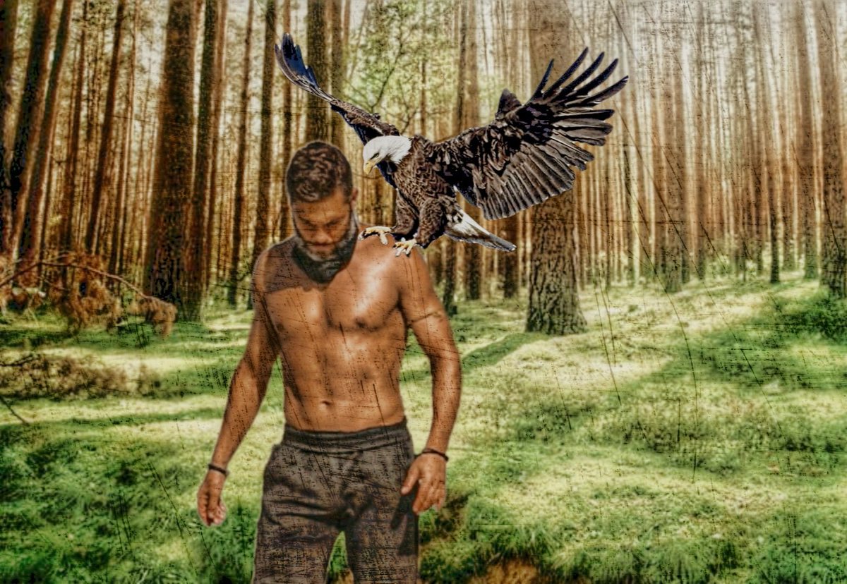 Όπως το είπες από την αρχή "Μόνος μου κι ως όπου φτάσω", το κράτησες ως το τέλος! Κανείς δεν έχει κάτι να σου καταλογίσει στο παιχνίδι! Δίκαιος, ειλικρινής και καθαρός, σημάδεψες αυτό το #survivorgr Περήφανος Αετός!!