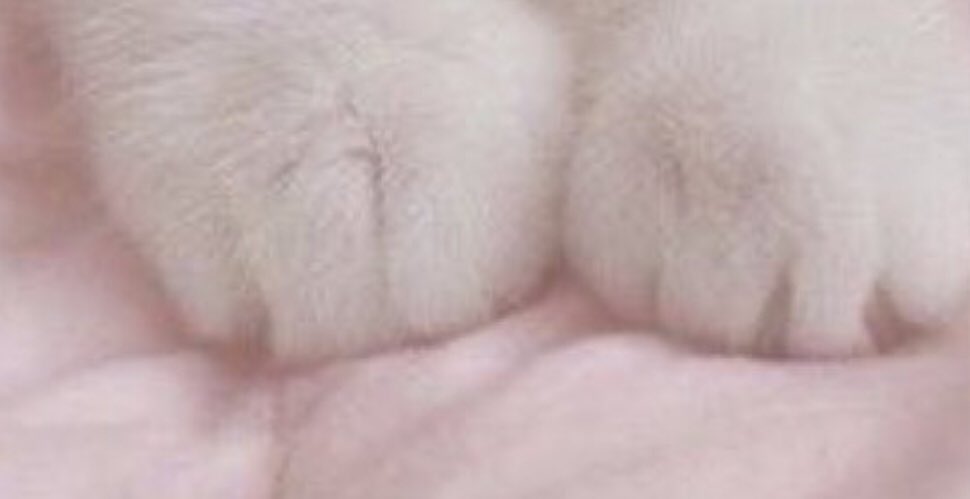 jimminggg's tweet image. holy shit