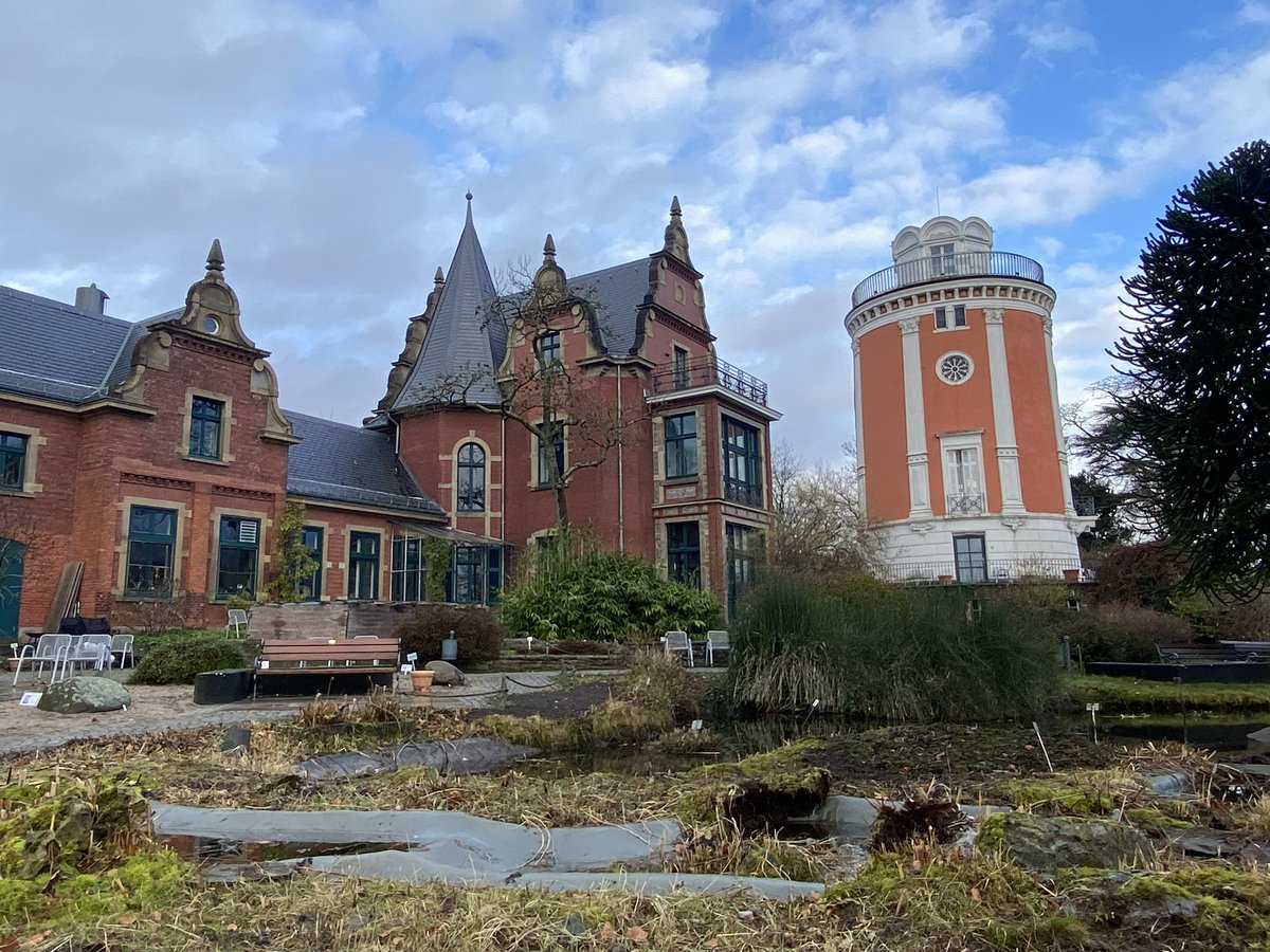 RussOakey tweet media