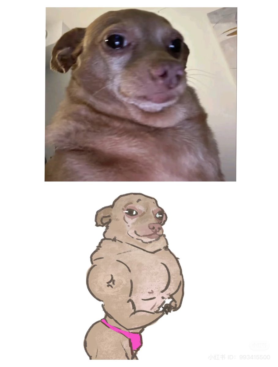 💖 (@twaniimals) on Twitter photo 