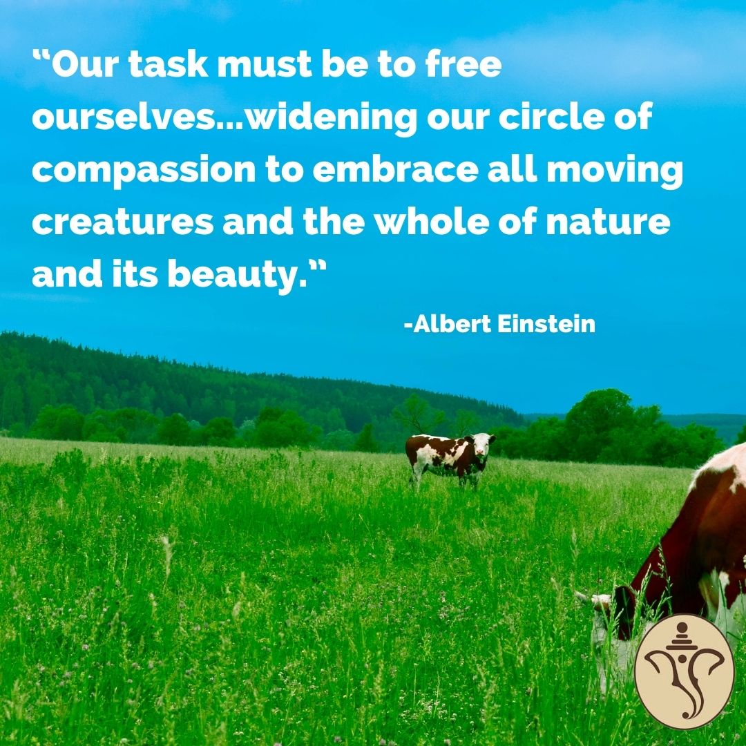 vedantausa's tweet photo. "Our task must be to free ourselves....widening our circle of compassion to embrace all living creatures and the whole of nature and its beauty."​
Albert Einstein​

Citations Tributes Quotes​
By A. Parthasarathy​

#Peace #crueltyfree #AlbertEinstein https://t.co/tlLFzEPJDe
