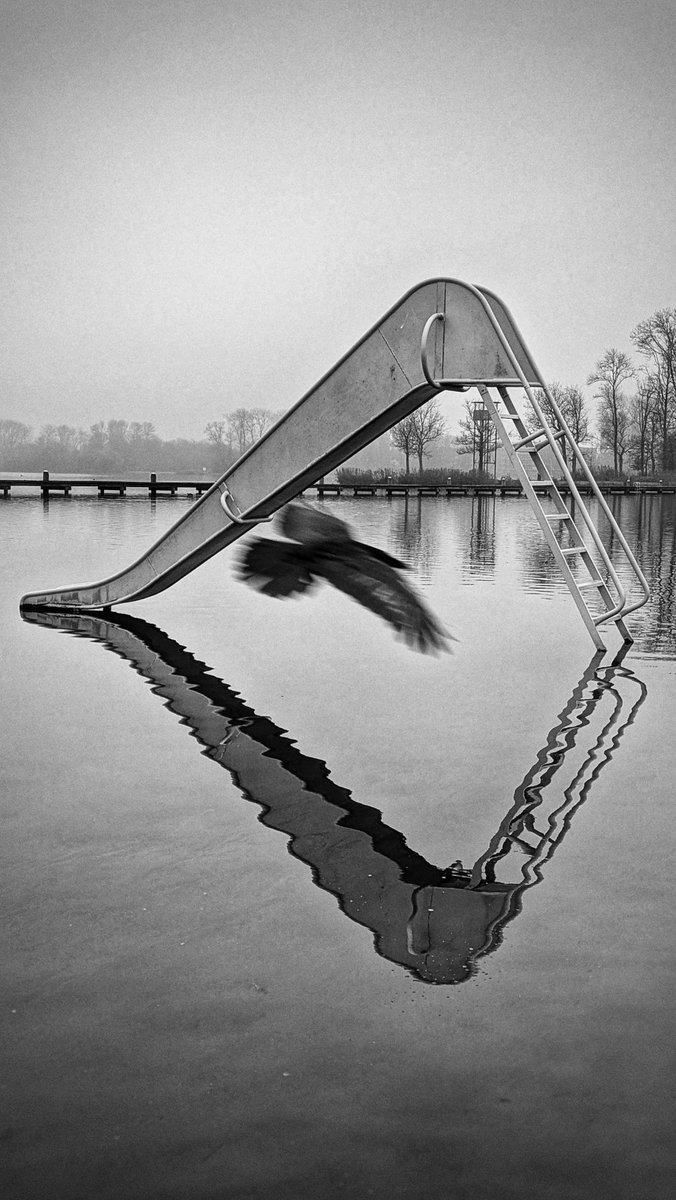 zzapback's tweet photo. Kralingen vandaag.
#Exapro #hoyafilter #pixel7pro #Rotterdam https://t.co/Fy1HqR6mf1