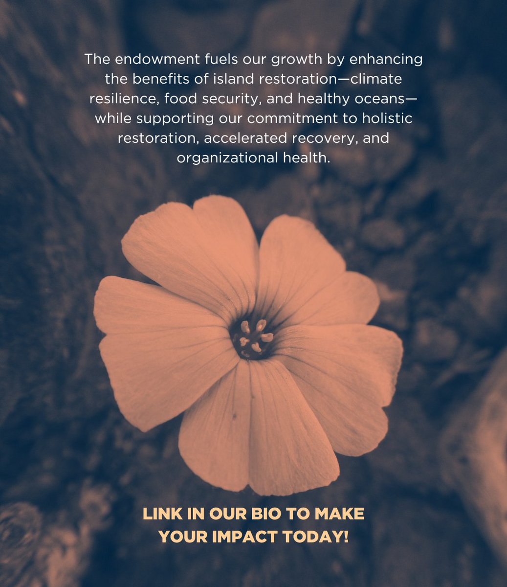 If you choose to make an gift to the fund, your gift will be matched dollar for dollar in 2024 and 2025 until we’ve reached a full match for a $500,000 challenge grant from one of our generous donors!

Donate here: islandconservation.org/endowment-lega…